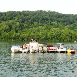 Rices Landing Riverfest is a Mon River Town annual event.
