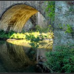 107-DSC_0117