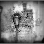 116-DSC_0108