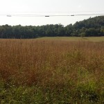 2012-08-02_16-19-47_907