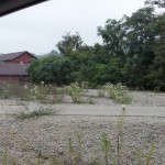 2012-09-07_10-06-17_489