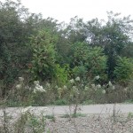 2012-09-07_10-06-34_820
