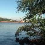 IMG_20130725_185605_460