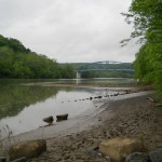 Point Marion shore