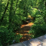 RL trail
