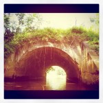 jacobs creek