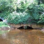 jacobs creek 2 (1)