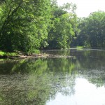 river bend