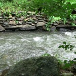 river photo 10