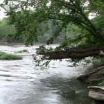 river photo 11
