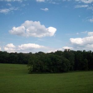 Gallatin house meadow